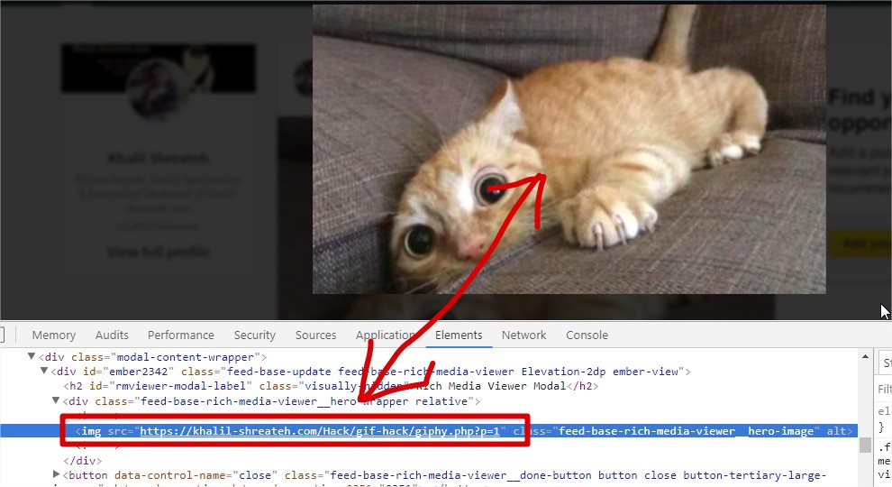 LinkedIn vulnerability report image 1